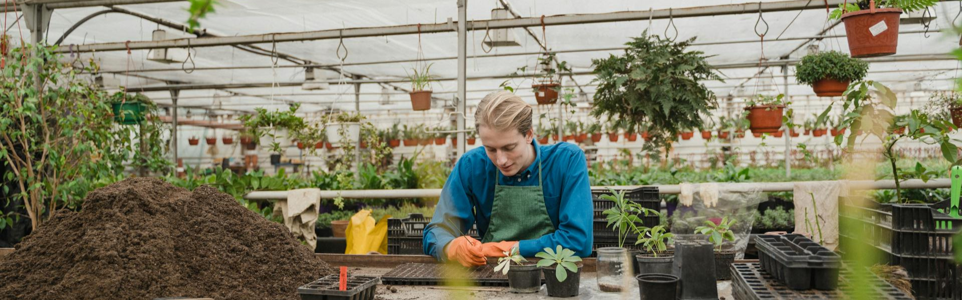 Outdoor Landscaping & Green Terrace Solutions