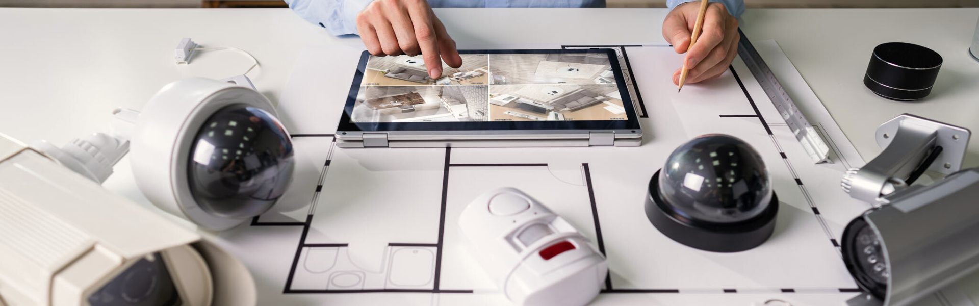 Territory Protection & Insect Control